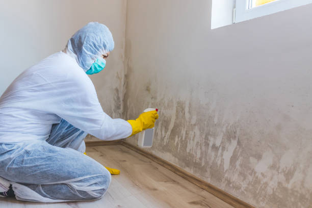 Mold Remediation specialist working in Des Plaines