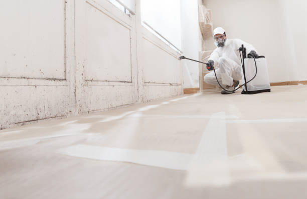 Post-remediation clearance in Des Plaines
